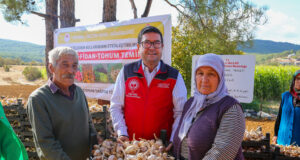 Ula Sarımsağı: Coğrafi İşaret Tesciliyle Muğla’nın Yükselen Değeri