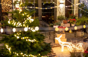 2024 Yılının Son Günlerinde Tatil ve Eğlencenin Rotası: Yılbaşı Özel Programları