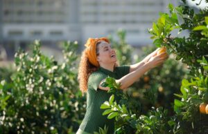 İki Festival Bir Arada: Aile Festivali ve Mandalina Festivali