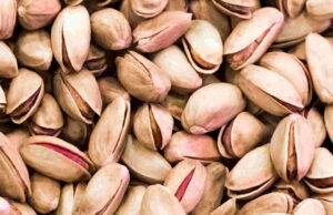 Dünya Antep Fıstığı Günü’nde Türkiye’nin Gururu: Gaziantep’in “Yeşil Altını”