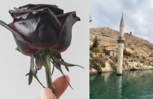 Şanlıurfa’nın Saklı Cenneti: Halfeti