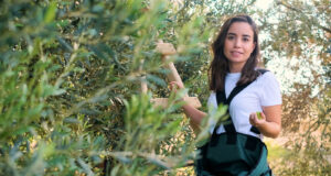 Zeytinyağı Seçiminde Uzman Rehberi: Lezzet, Sağlık ve Kaliteyi Nasıl Anlarsınız?