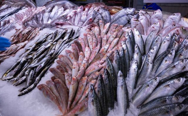 Balık-Sezonu-Metro-Türkiye-ile-Başlıyor