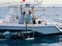 Denizden Sofraya: Big Fish Türkiye 2026