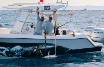 Denizden Sofraya: Big Fish Türkiye 2026